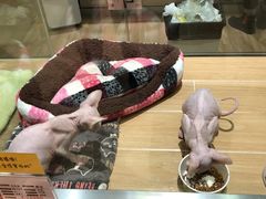 -韩宫宴烤肉·料理(苏州中心店)