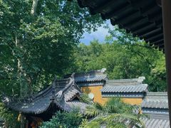 -灵谷景区