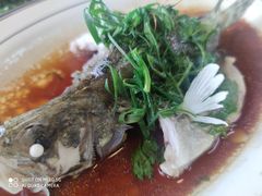 野生桂花-八仔大富楼·河鲜(西江店)