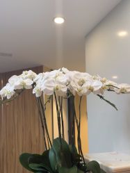 -Yestar宁波艺星整形医院