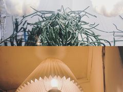 -野草莓自由市场