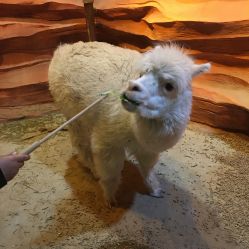 -酷嗒动物文化乐园(cutezoo西溪乐天城店)