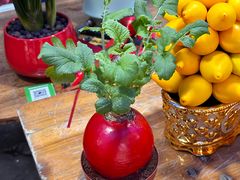 -东川新街市(东川市场店)