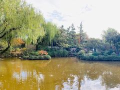 -秋霞圃