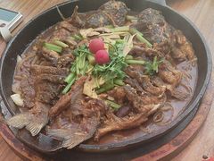 -老板恋上鱼(恒隆广场店)