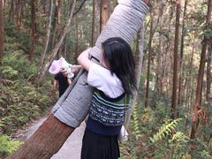 -龙湾潭国家森林公园