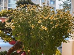 -手舒·采耳按摩·影院足道spa(莫愁湖东路店)