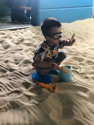 -恐龙探索乐园(磁器口店)