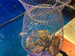 单人钓虾-钳真多钓虾馆·小龙虾海鲜烧烤(九六广场店)