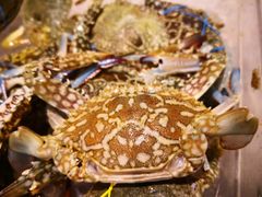 -Isla Sugbu Seafood City