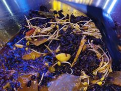 -红牌美蛙鱼头火锅(万辉国际广场店)
