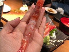 甜虾-千代武日本料理(哈西店)