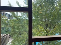-逸廊大堂吧-下午茶·简餐-千岛湖自由洲际殿