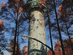 -黄海国家森林公园