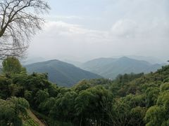 -莫干山风景区