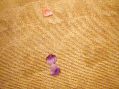 -爱舍海岸酒店(香港中路五四广场店)