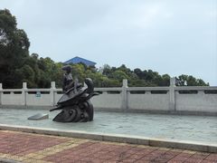 -广东惠东海龟国家级自然保护区
