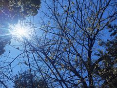 -鼓楼(西湖风景名胜区)