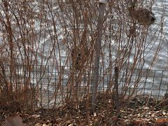 -春晖园度假酒店温泉