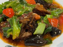 -新疆食府(华龙店)