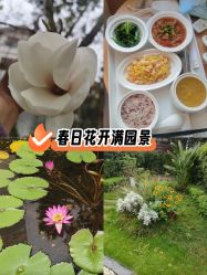 -莲生母婴月子中心(清水河公园店)