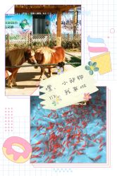 -萌宠亲子动物乐园(槐房万达店)