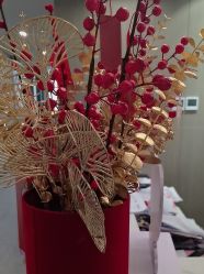 -云南吴氏嘉美医疗美容医院