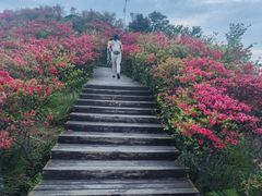 -大围山国家森林公园