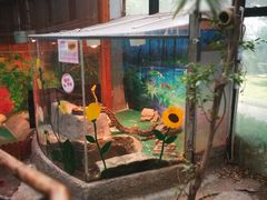 -上海大自然野生昆虫馆(东方明珠·爬宠昆虫探索中心)