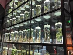 -广东中医药博物馆