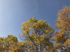 -万源龙顺度假庄园生态观光园