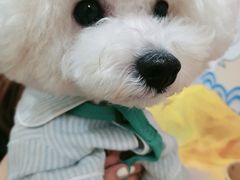 -关东热煮(虎石台店)