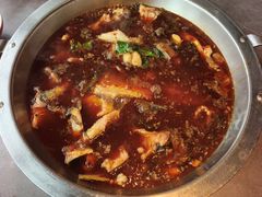 -蜀滋香鲜鱼美蛙火锅(339店)