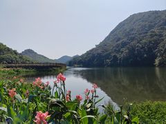 -广州市石门国家森林公园