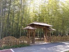 -龙寺生态园