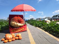 -长春农博园