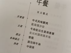 -新加坡航空公司(ION)