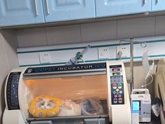 -半岛宠物医院24小时·内窥镜·牙科·碎石中心(府城大道店)