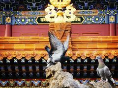-大召无量寺