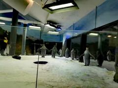 -悉尼海洋生物水族馆