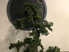 -小徽舟臭鳜鱼(雅清街店)