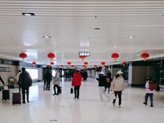 -哈尔滨太平国际机场-T2航站楼