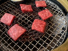 -老乾杯和牛烧肉(王府中环店)