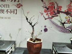 -石家庄市植物园