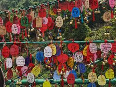 -西双版纳原始森林公园