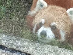 -黔灵山公园