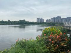 -眉山湿地公园(东坡区)