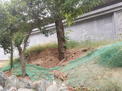 -西安大兴善寺