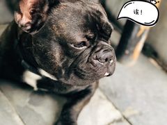 -F518时尚创意园