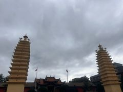-眼镜粑粑